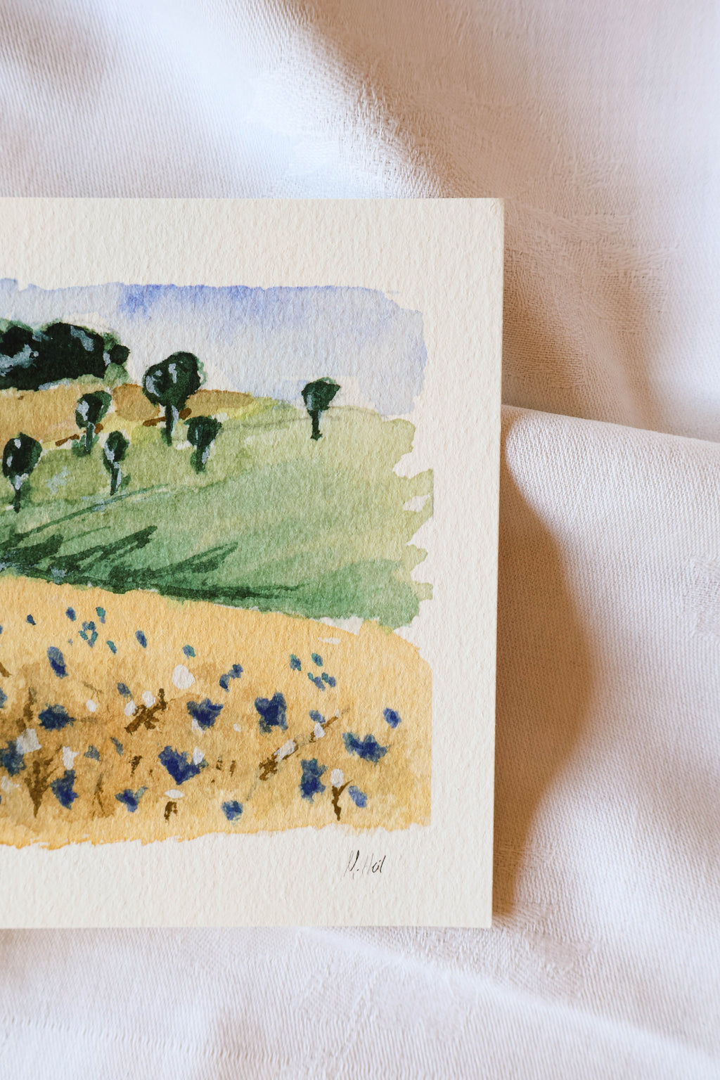 "Cornflower" - Fine Art Print