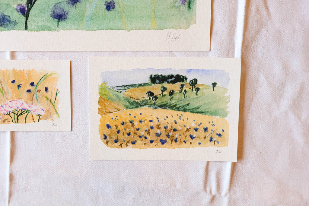 "Cornflower" - Fine Art Print