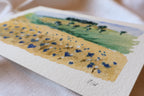"Cornflower" - Fine Art Print