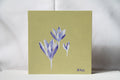 Crocus - Original Oil Painting