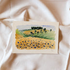 "Cornflower" - Fine Art Print