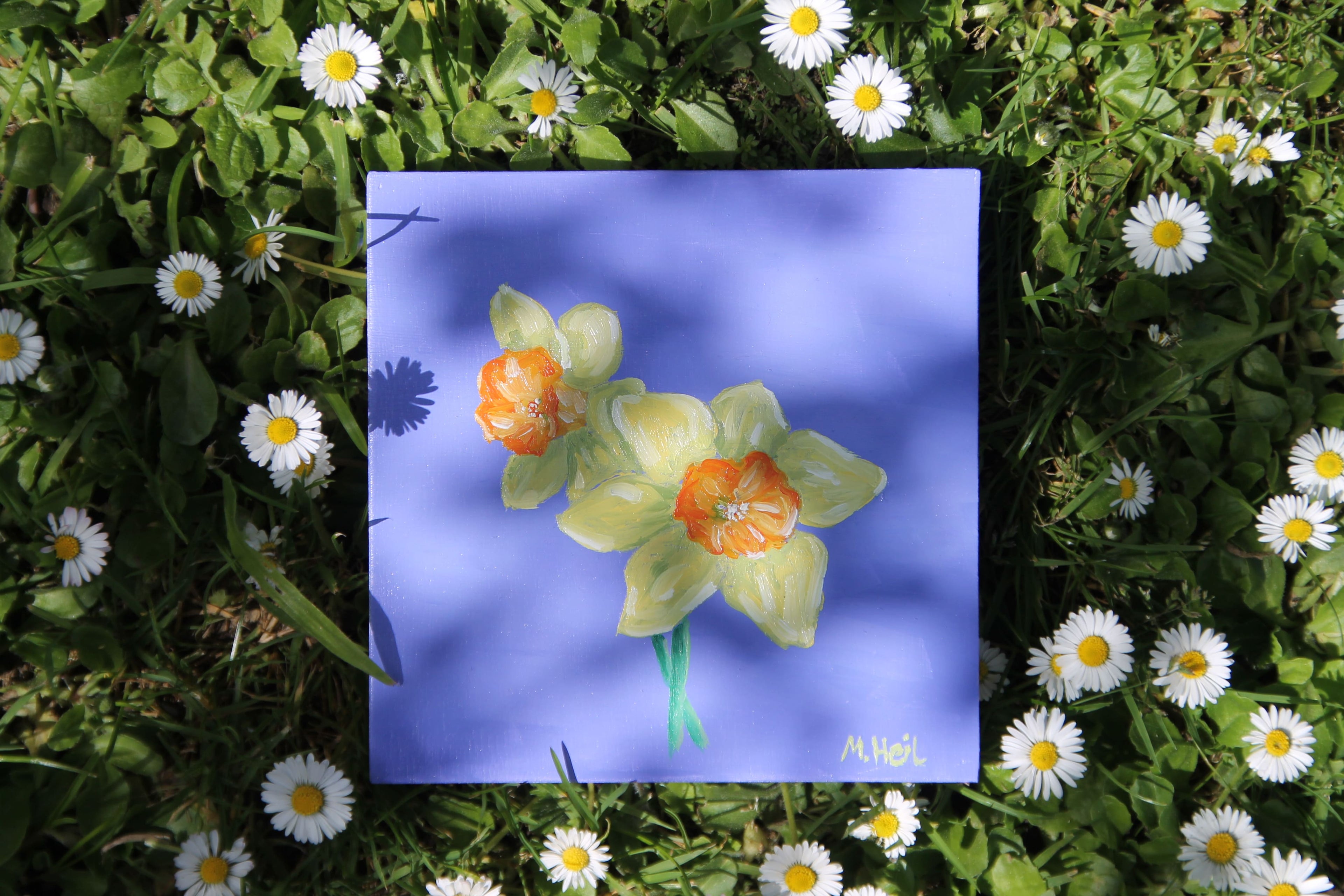 Daffodil - Original Painting
