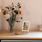 "Coneflower" - Fine Art Print