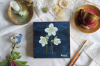 Black Hellebore - Original Oil Painting