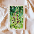 "Hemp-Nettle" - Fine Art Print