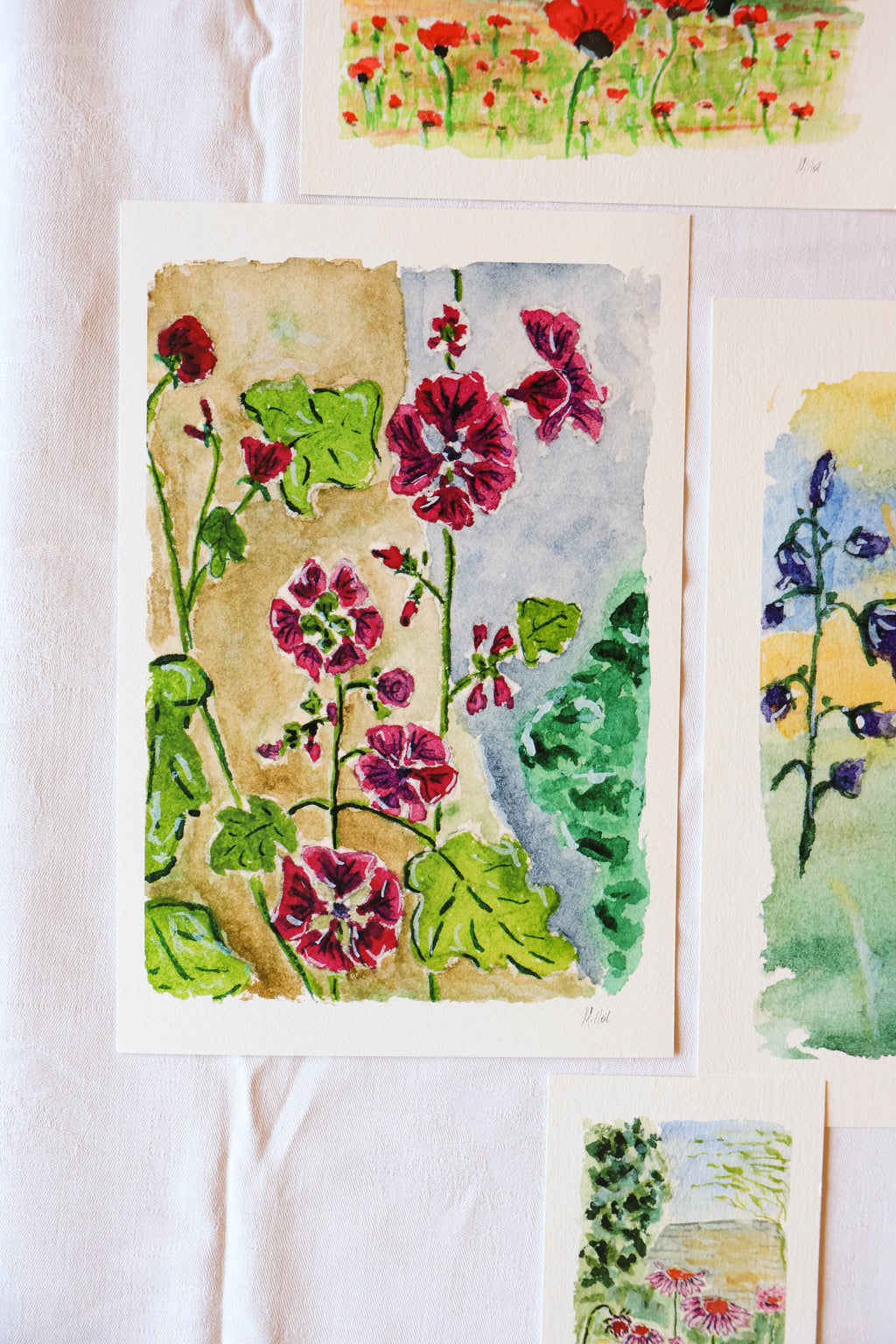 "Mallow" - Fine Art Print