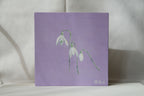 Snowdrop - Original Oil Painting
