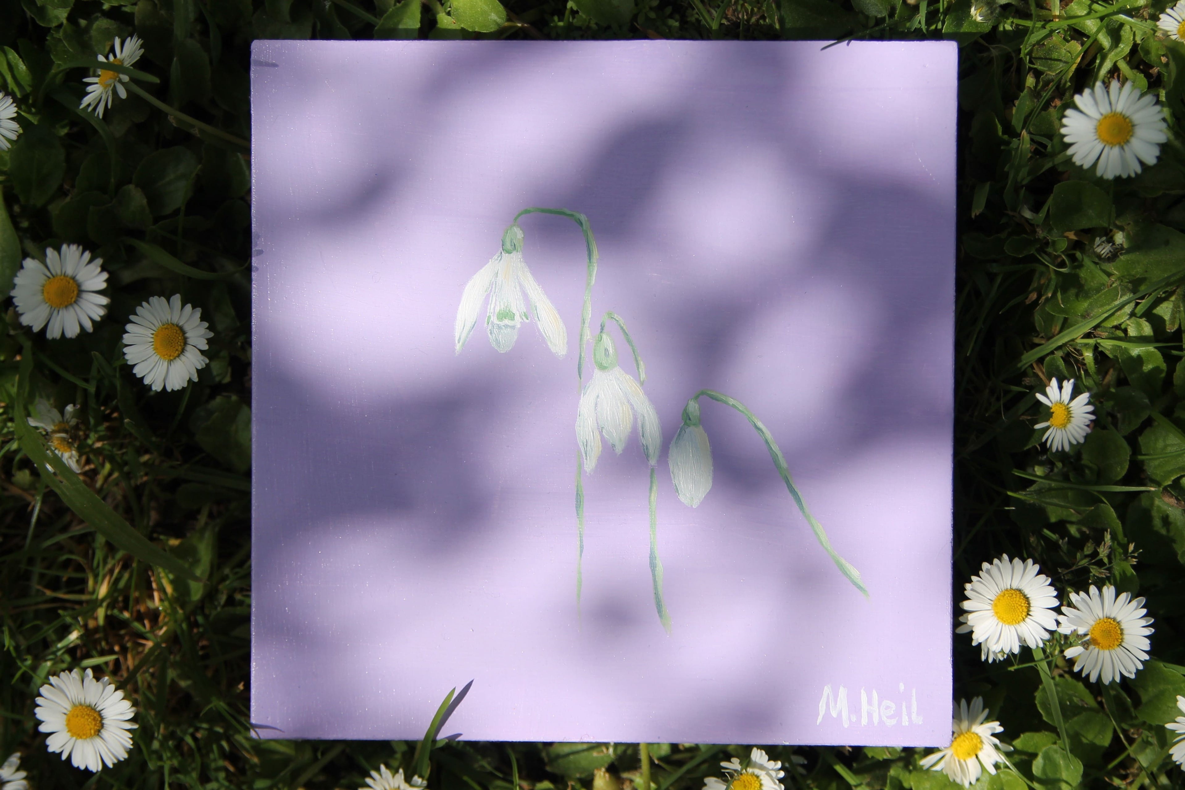 Snowdrop - Original Oil Painting