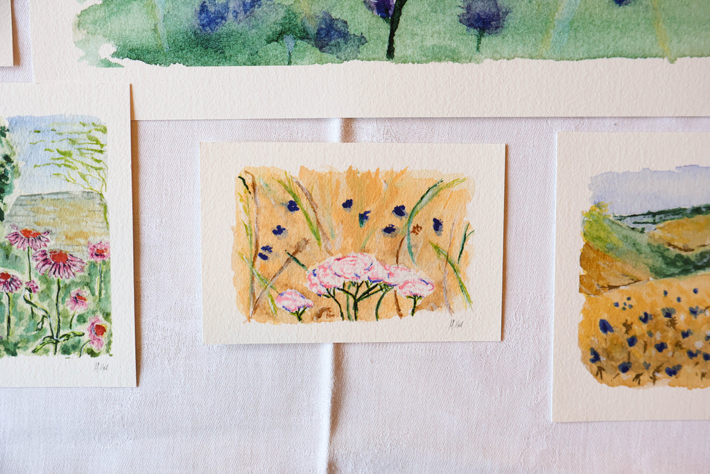 "Yarrow" - Fine Art Print